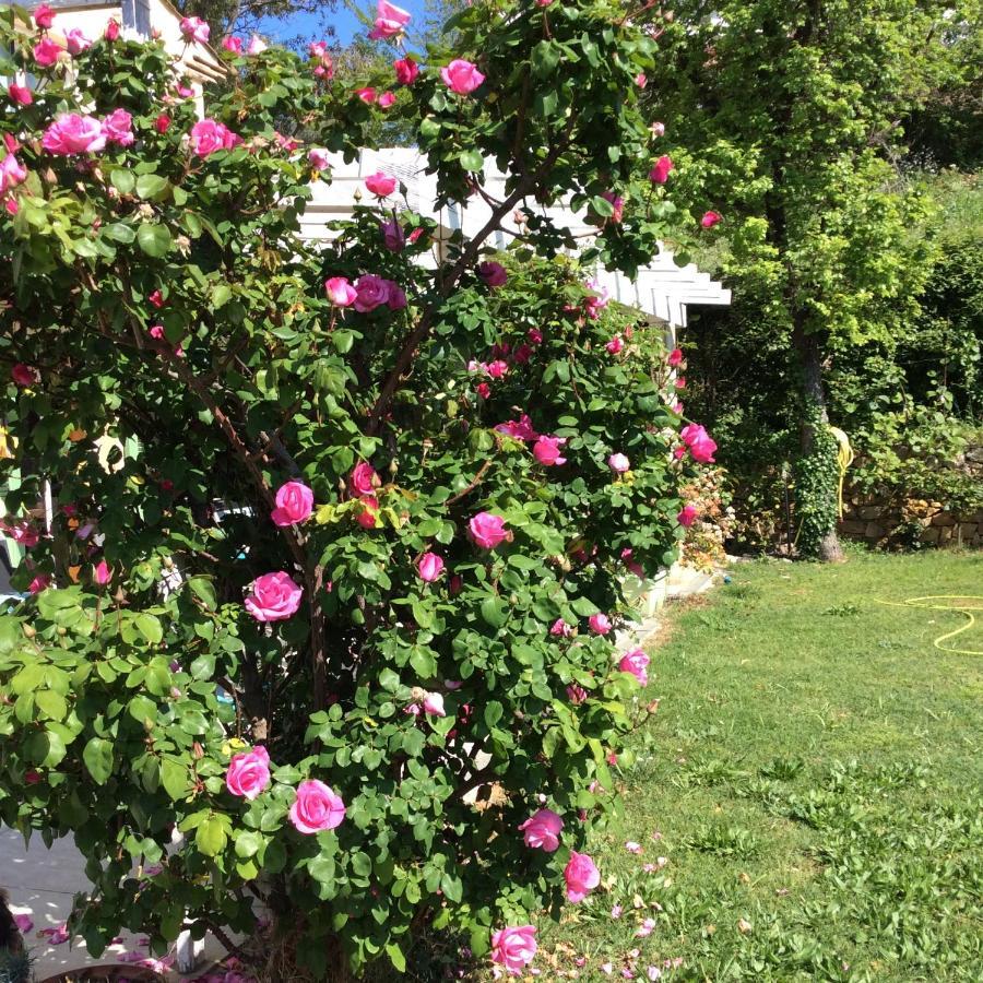 昂蒂布Bienvenue Chez Alain Et Marie公寓 外观 照片
